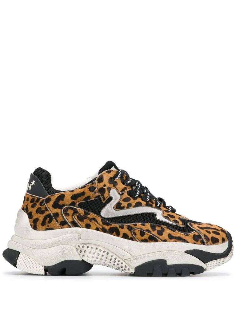 Addict leopard print sneakers