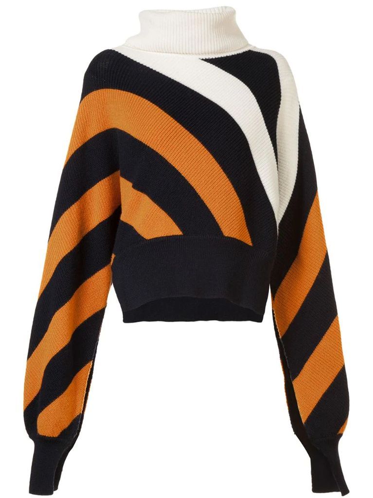 diagonal stripe turtleneck jumper