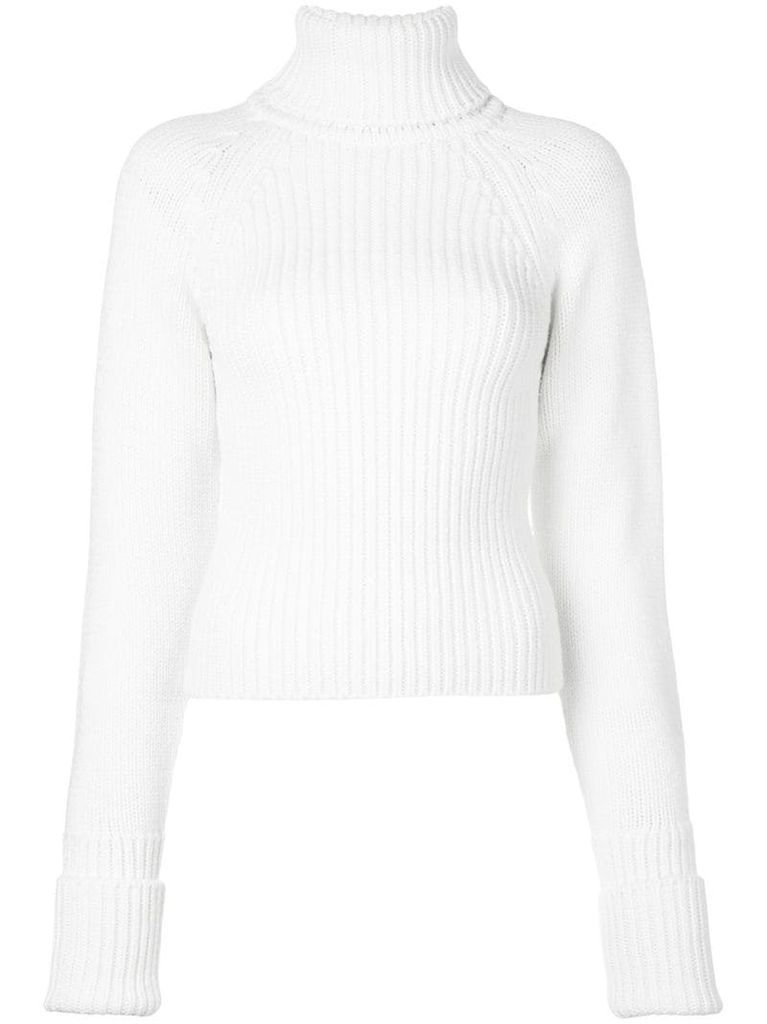 ribbed roll neck jumper