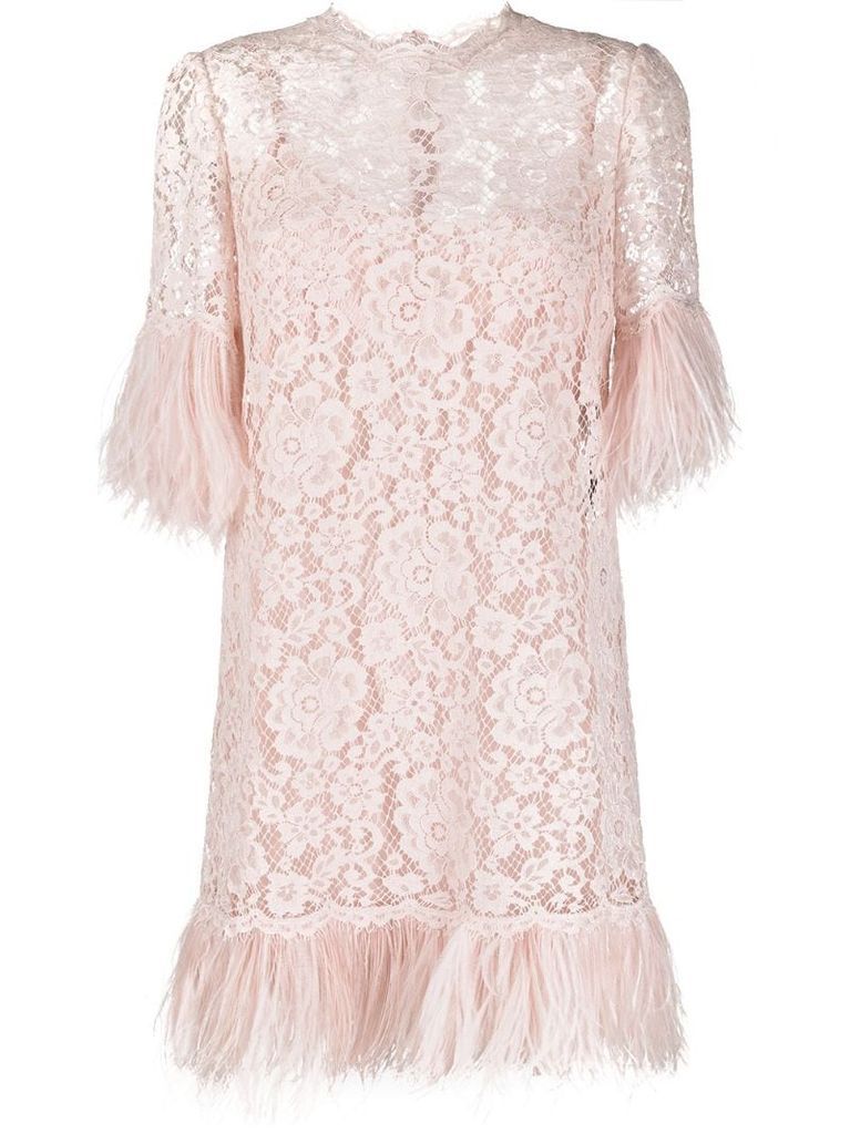 feather-embellished lace dress