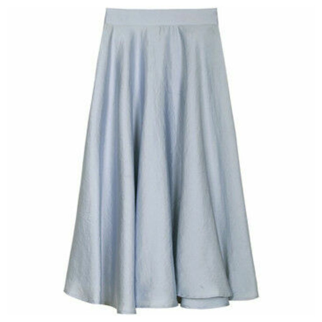 skirt  women's Skirt in Blue