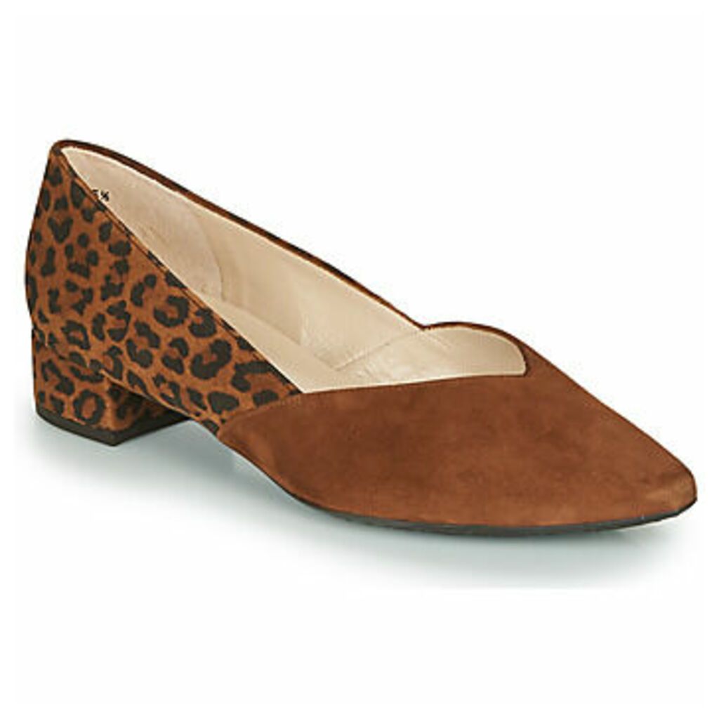 SHADE  women's Court Shoes in Brown. Sizes available:5.5