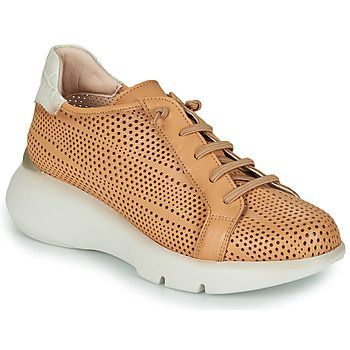 TELMA  women's Shoes (Trainers) in Brown