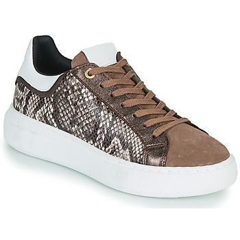 HIBISCUS  women's Shoes (Trainers) in Brown