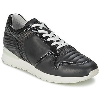 KATE 420  women's Shoes (Trainers) in Black