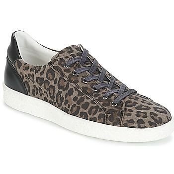 JUKKY  women's Shoes (Trainers) in Black