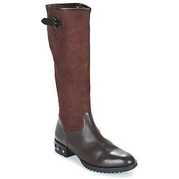 XANE  women's High Boots in Brown