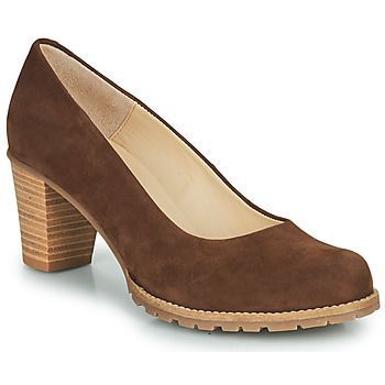 HARCHE  women's Court Shoes in Brown
