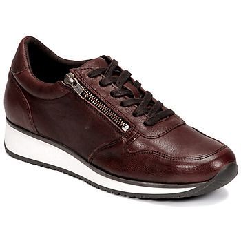 PORTOVECCHIO  women's Shoes (Trainers) in Brown