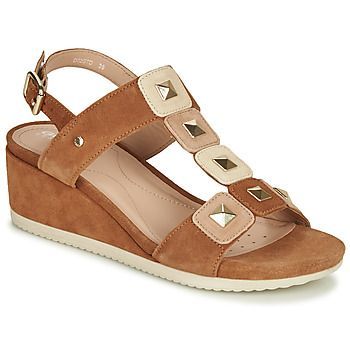 D ISCHIA  women's Sandals in Brown. Sizes available:3,6,5.5,3.5,6.5