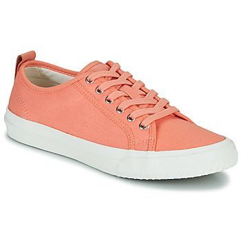 Roxby Lace  women's Shoes (Trainers) in Pink