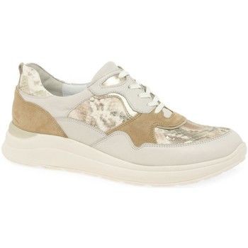 Rosan Womens Trainers  women's Court Shoes in Beige. Sizes available:3.5,4.5,5,5.5,6,6.5,7