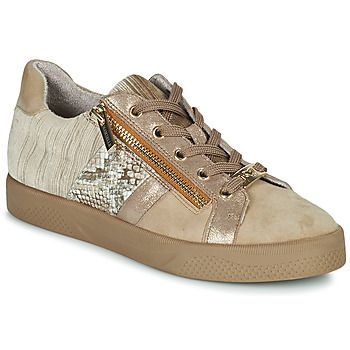Auber  women's Shoes (Trainers) in Brown