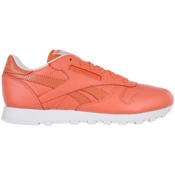 Leather Seasonal II  women's Shoes (Trainers) in Orange