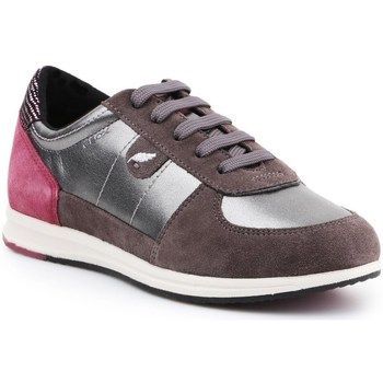 D Avery  women's Shoes (Trainers) in multicolour