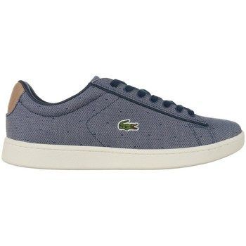 Carnaby Evo  women's Shoes (Trainers) in Grey
