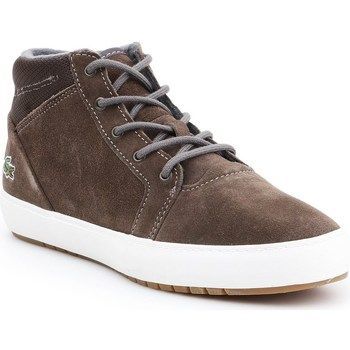 Ampthill Chukka 417 1 Caw  women's Mid Boots in Brown