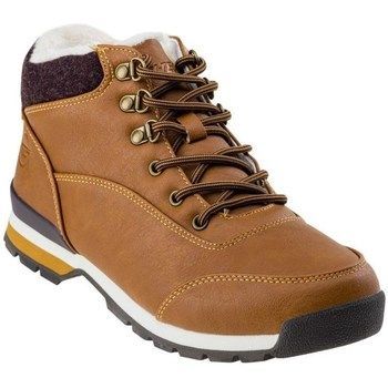 Ladivi Mid  women's Shoes (High-top Trainers) in Brown