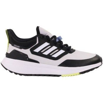 EQ21 Run Coldrdy  women's Shoes (Trainers) in multicolour