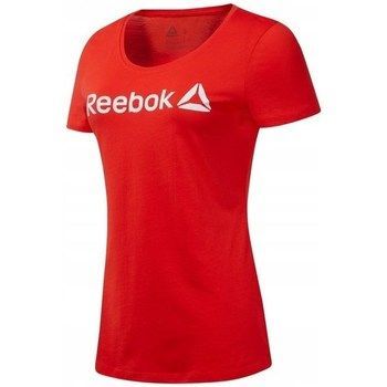 D Linear Read Scoop  women's T shirt in Red