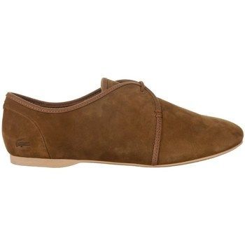 Torpel Lew  women's Shoes (Trainers) in Brown