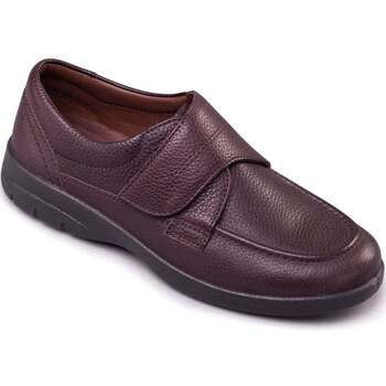 Solar Mens Casual Shoes  women's Casual Shoes in Brown. Sizes available:12