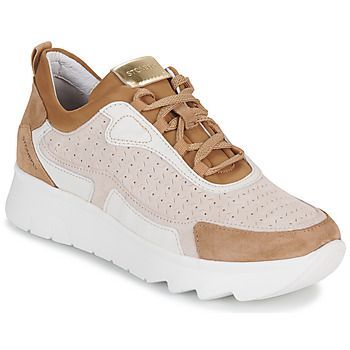 SPOCK 36  women's Shoes (Trainers) in Brown