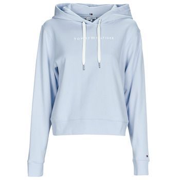 REG FROSTED CORP LOGO HOODIE  women's Sweatshirt in Blue