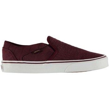 W Asher Croc  women's Skate Shoes (Trainers) in Bordeaux
