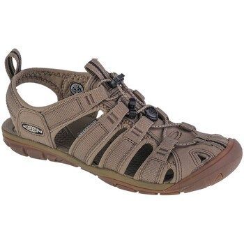Clearwater Cnx  women's Sandals in Brown