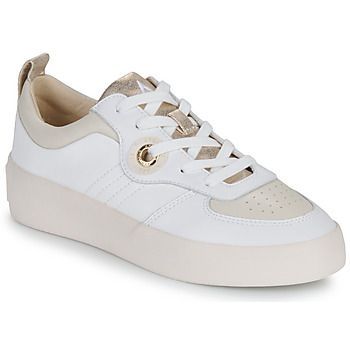 LOVA SNEAKER  women's Shoes (Trainers) in White
