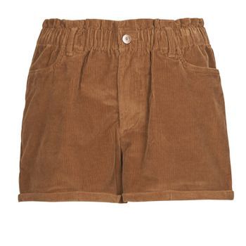 ONLCUBA-FLORA HW PB CORD SHORTS PNT  women's Shorts in Brown