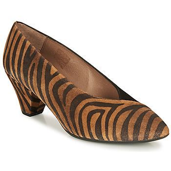 I7601-ZEBRATO-CUERO-ANTE-NEGRO  women's Court Shoes in Brown