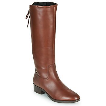 FELICITY  women's High Boots in Brown
