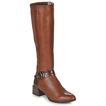 ALPES  women's High Boots in Brown