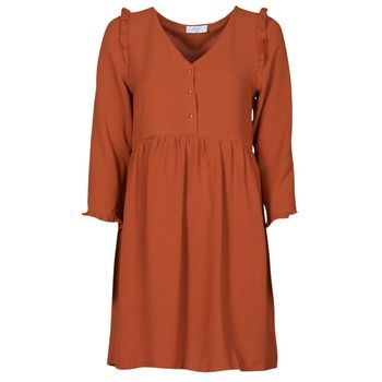 JOELIE  women's Dress in Brown