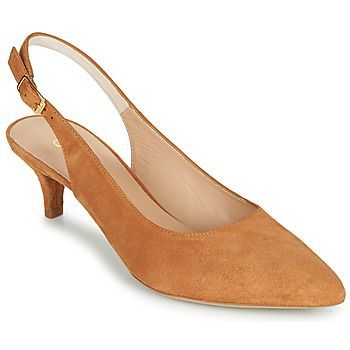 JAMAL  women's Court Shoes in Brown