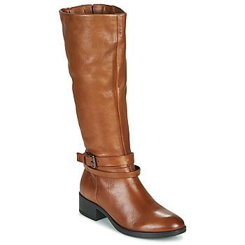 NOURON  women's High Boots in Brown