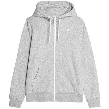 4FAW23TSWSF073027M  women's Sweatshirt in Grey