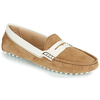 1TABATA  women's Loafers / Casual Shoes in Brown