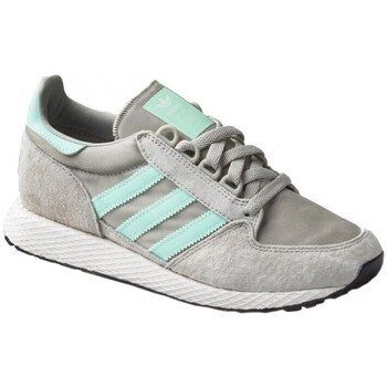 Forest Grove W  women's Shoes (Trainers) in Grey