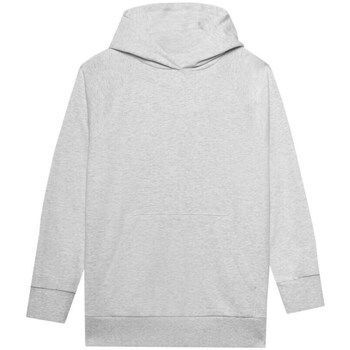 4FWSS24TSWSF095527M  women's Sweatshirt in Grey