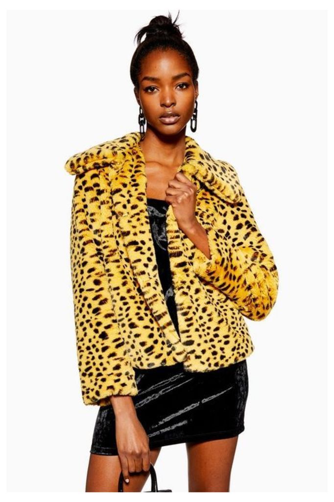 Womens Cheetah Print Faux Fur Coat - Multi, Multi