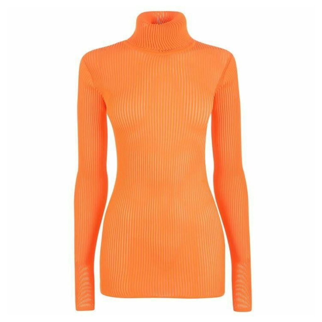 Victoria by Victoria Beckham Ribbed Turtle Neck Top