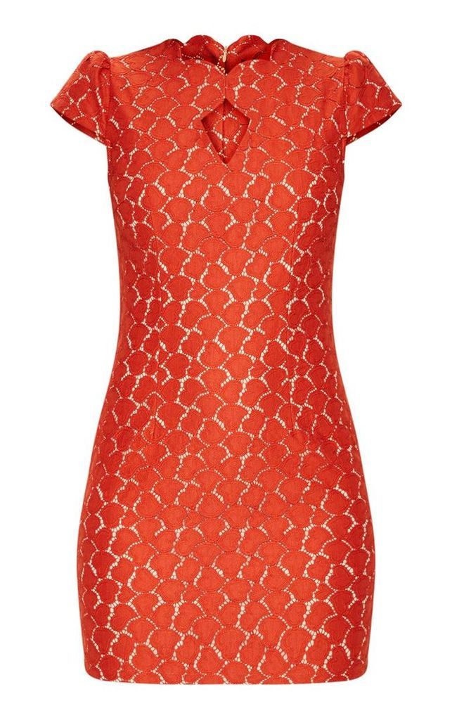 Rust Lace Cap Sleeve Neckline Detail Bodycon Dress, Orange