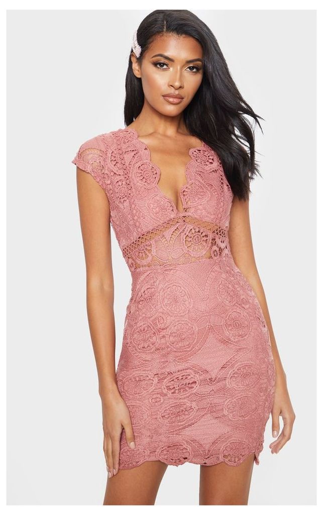 Rose Lace Bodycon Cap Sleeve Dress, Pink