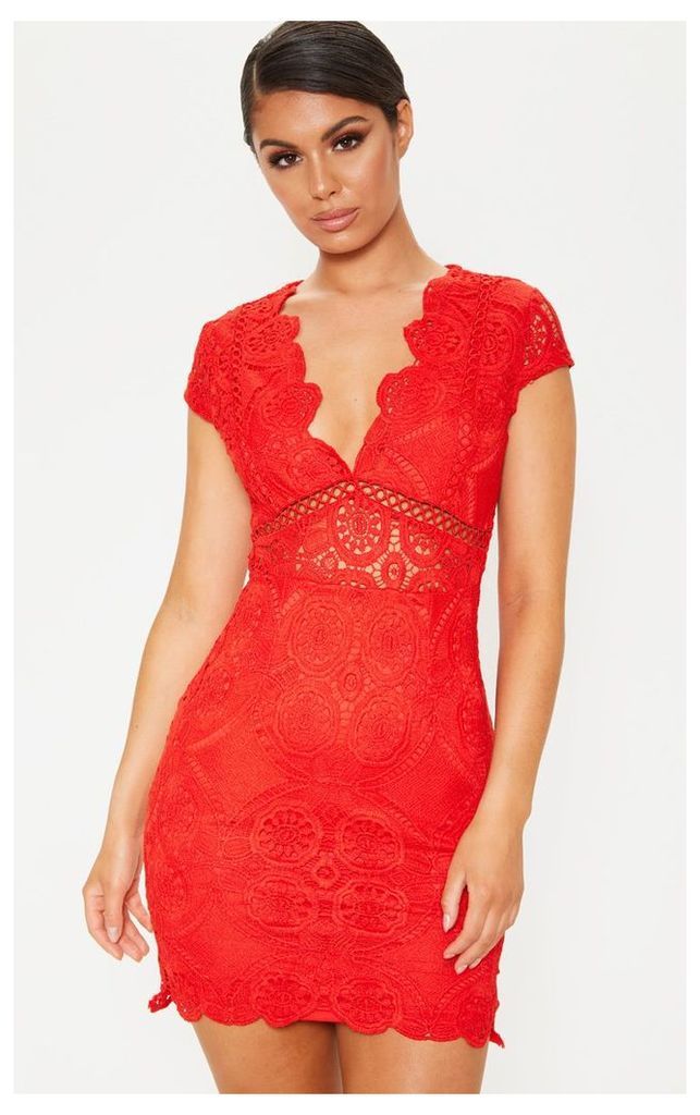 Red Lace Bodycon Cap Sleeve Dress, Red