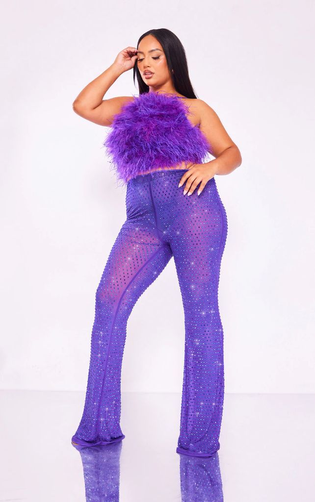 Premium Plus Purple Embellished Mesh Trousers, Purple