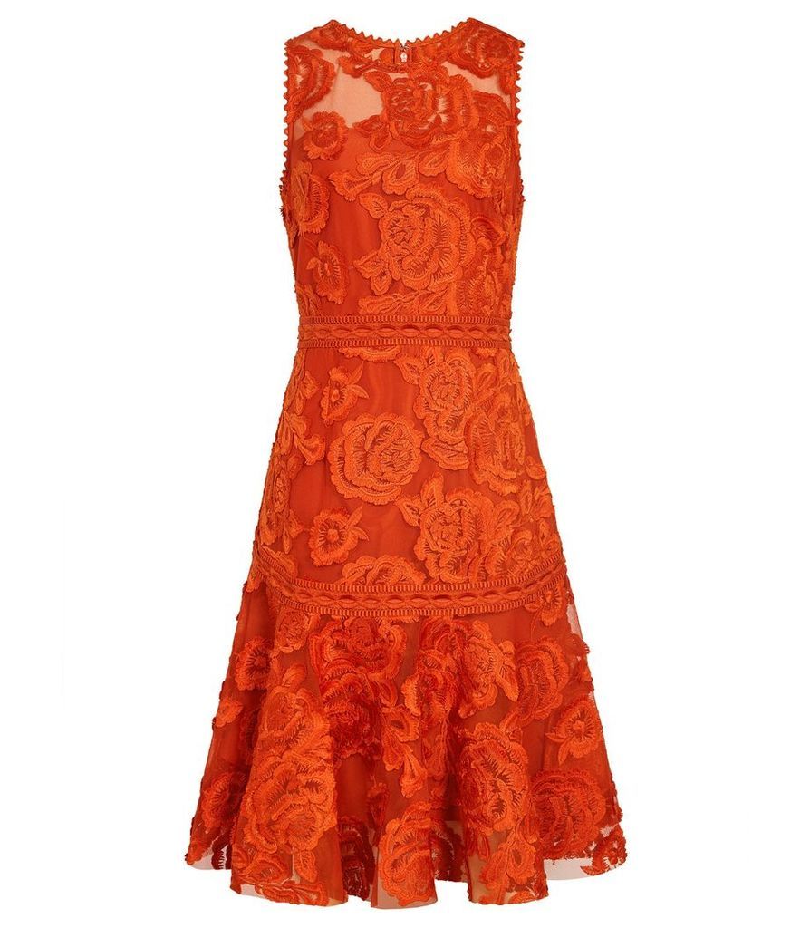 Reiss Adia - Lace Fit And Flare Dress in Winter Orange, Womens, Size 16