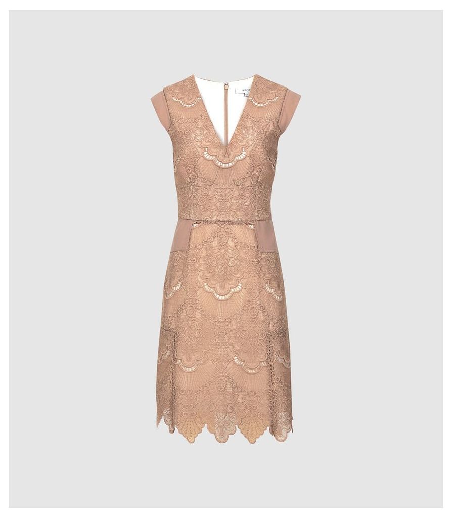 Reiss Gemina - Lace Fit And Flare Dress in Nude, Womens, Size 16